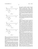 SACCHARIDE CONJUGATES diagram and image