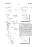 SACCHARIDE CONJUGATES diagram and image