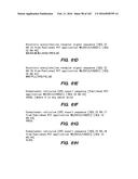 SYSTEM AND METHOD FOR OPTOGENETIC THERAPY diagram and image