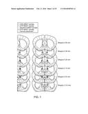 OPTOGENETIC CONTROL OF BEHAVIORAL STATE diagram and image