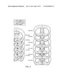 OPTOGENETIC CONTROL OF BEHAVIORAL STATE diagram and image