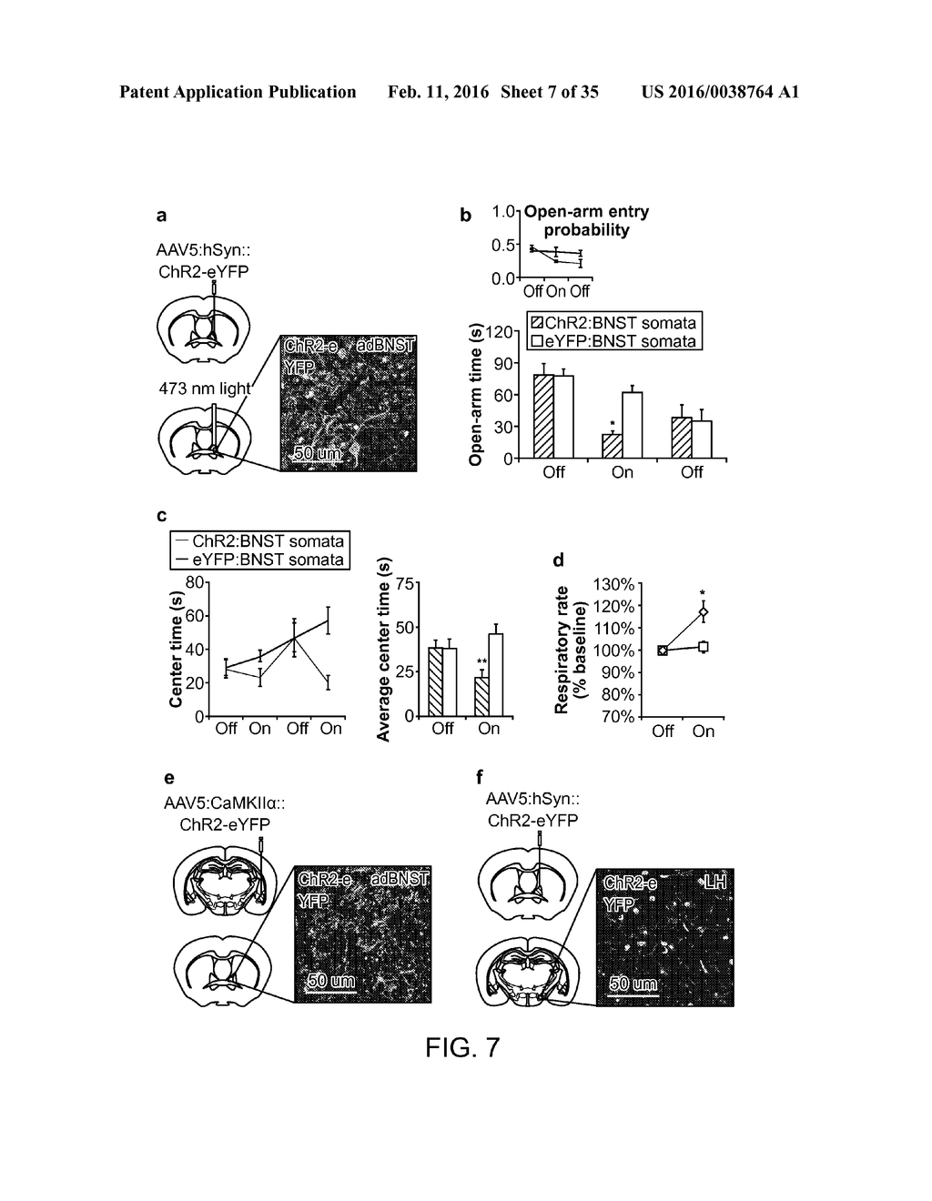 OPTOGENETIC CONTROL OF BEHAVIORAL STATE - diagram, schematic, and image 08