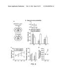 OPTOGENETIC CONTROL OF BEHAVIORAL STATE diagram and image