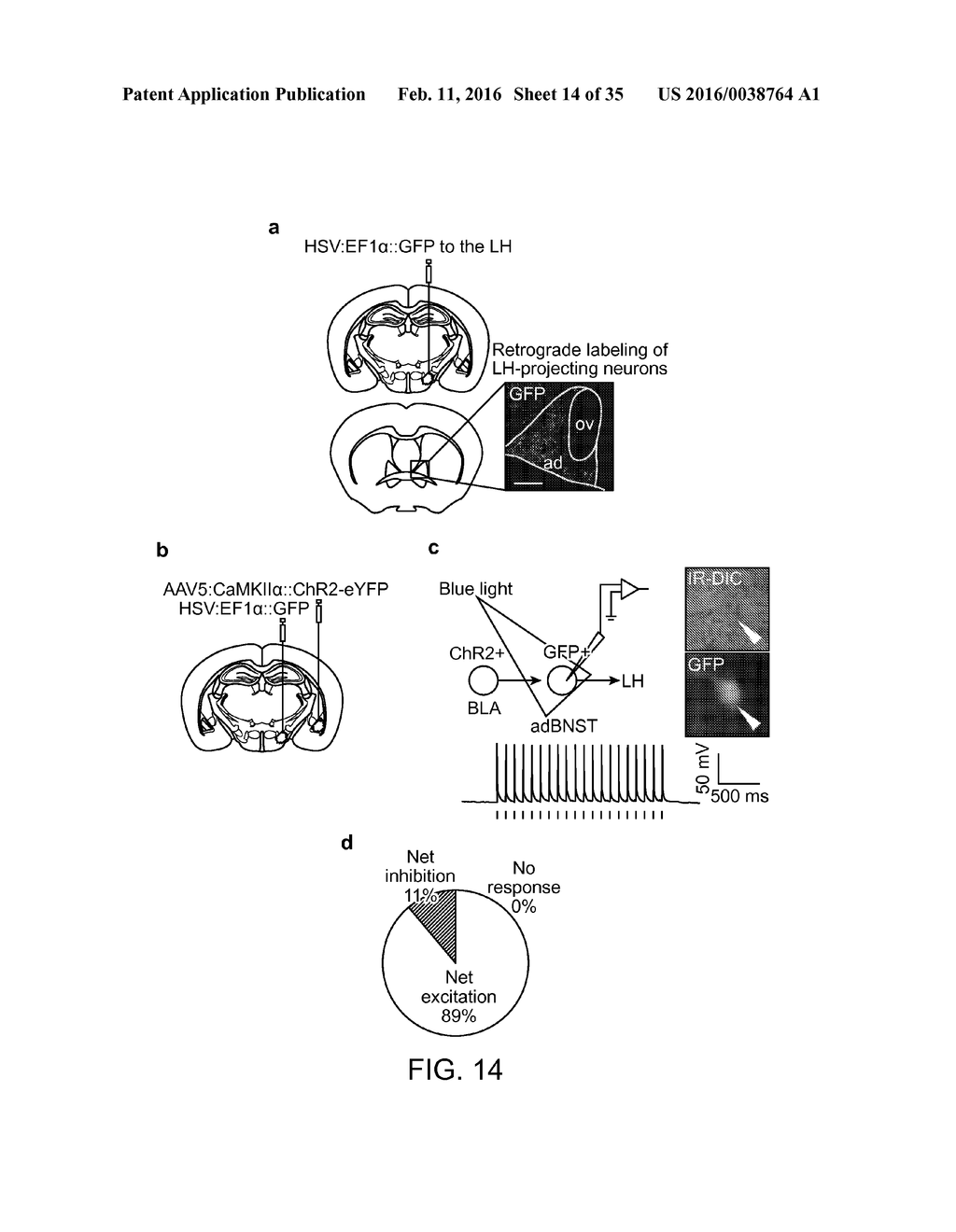 OPTOGENETIC CONTROL OF BEHAVIORAL STATE - diagram, schematic, and image 15