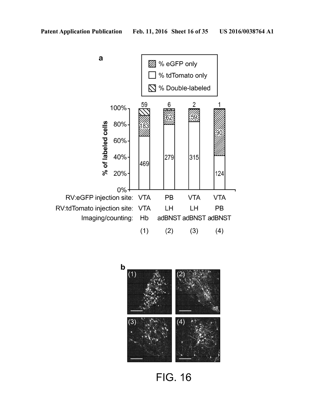 OPTOGENETIC CONTROL OF BEHAVIORAL STATE - diagram, schematic, and image 17