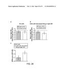 OPTOGENETIC CONTROL OF BEHAVIORAL STATE diagram and image