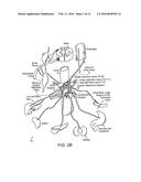 NEUROMODULATION AND ASSOCIATED SYSTEMS AND METHODS FOR THE MANAGEMENT OF     PAIN diagram and image