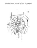 NEUROMODULATION AND ASSOCIATED SYSTEMS AND METHODS FOR THE MANAGEMENT OF     PAIN diagram and image