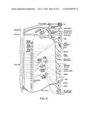 NEUROMODULATION AND ASSOCIATED SYSTEMS AND METHODS FOR THE MANAGEMENT OF     PAIN diagram and image