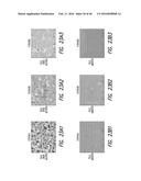NANOPARTICLE COATING OF SURFACES diagram and image