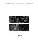 TITANIUM COMPOUND-CONTAINING CORE-SHELL POWDER AND METHOD OF MAKING THE     SAME, AND TITANIUM COMPOUND-CONTAINING SINTERED BODY diagram and image