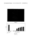 THERAPEUTIC CURCUMIN DERIVATIVES diagram and image