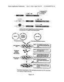 THERAPEUTIC CURCUMIN DERIVATIVES diagram and image