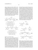 THERAPEUTIC CURCUMIN DERIVATIVES diagram and image