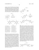 THERAPEUTIC CURCUMIN DERIVATIVES diagram and image