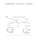 CANNABINOID RECEPTOR MEDIATING COMPOUNDS diagram and image