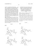 HETEROARYL ACID MORPHOLINONE COMPOUNDS AS MDM2 INHIBITORS FOR THE     TREATMENT OF CANCER diagram and image