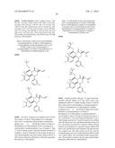 HETEROARYL ACID MORPHOLINONE COMPOUNDS AS MDM2 INHIBITORS FOR THE     TREATMENT OF CANCER diagram and image