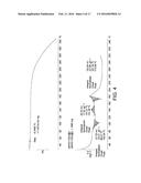 2-((4-AMINO-3-(3-FLUORO-5-HYDROXYPHENYL)-1H-PYRAZOLO[3,4-D]PYRIMIDIN-1     -YL)METHYL)-3-(2-(TRIFLUOROMETHYL)BENZYL) QUINAZOLIN-4(3H)-ONE     DERIVATIVES AND THEIR USE AS PHOSPHOINOSITIDE 3-KINASE INHIBITORS diagram and image