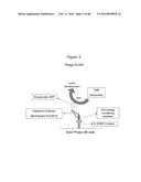 Novel Polypeptides That Bound to IL-23 Receptor and Inhibit Binding of     IL-23 and Cell Signaling Thereof diagram and image