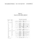 Novel Polypeptides That Bound to IL-23 Receptor and Inhibit Binding of     IL-23 and Cell Signaling Thereof diagram and image