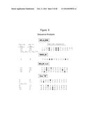 Novel Polypeptides That Bound to IL-23 Receptor and Inhibit Binding of     IL-23 and Cell Signaling Thereof diagram and image