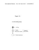 Novel Polypeptides That Bound to IL-23 Receptor and Inhibit Binding of     IL-23 and Cell Signaling Thereof diagram and image