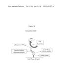 Novel Polypeptides That Bound to IL-23 Receptor and Inhibit Binding of     IL-23 and Cell Signaling Thereof diagram and image