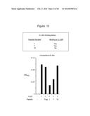 Novel Polypeptides That Bound to IL-23 Receptor and Inhibit Binding of     IL-23 and Cell Signaling Thereof diagram and image