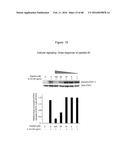 Novel Polypeptides That Bound to IL-23 Receptor and Inhibit Binding of     IL-23 and Cell Signaling Thereof diagram and image