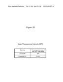 Novel Polypeptides That Bound to IL-23 Receptor and Inhibit Binding of     IL-23 and Cell Signaling Thereof diagram and image