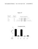 Novel Polypeptides That Bound to IL-23 Receptor and Inhibit Binding of     IL-23 and Cell Signaling Thereof diagram and image