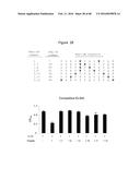 Novel Polypeptides That Bound to IL-23 Receptor and Inhibit Binding of     IL-23 and Cell Signaling Thereof diagram and image