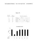 Novel Polypeptides That Bound to IL-23 Receptor and Inhibit Binding of     IL-23 and Cell Signaling Thereof diagram and image