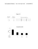 Novel Polypeptides That Bound to IL-23 Receptor and Inhibit Binding of     IL-23 and Cell Signaling Thereof diagram and image