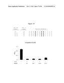 Novel Polypeptides That Bound to IL-23 Receptor and Inhibit Binding of     IL-23 and Cell Signaling Thereof diagram and image