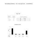 Novel Polypeptides That Bound to IL-23 Receptor and Inhibit Binding of     IL-23 and Cell Signaling Thereof diagram and image