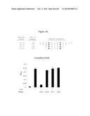 Novel Polypeptides That Bound to IL-23 Receptor and Inhibit Binding of     IL-23 and Cell Signaling Thereof diagram and image