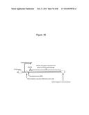 Novel Polypeptides That Bound to IL-23 Receptor and Inhibit Binding of     IL-23 and Cell Signaling Thereof diagram and image