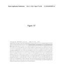 Novel Polypeptides That Bound to IL-23 Receptor and Inhibit Binding of     IL-23 and Cell Signaling Thereof diagram and image