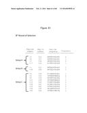 Novel Polypeptides That Bound to IL-23 Receptor and Inhibit Binding of     IL-23 and Cell Signaling Thereof diagram and image