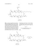 NOVEL CYCLOSPORIN DERIVATIVES AND USES THEREOF diagram and image