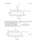 NOVEL CYCLOSPORIN DERIVATIVES AND USES THEREOF diagram and image