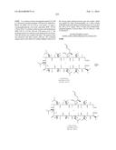 NOVEL CYCLOSPORIN DERIVATIVES AND USES THEREOF diagram and image