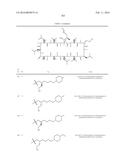 NOVEL CYCLOSPORIN DERIVATIVES AND USES THEREOF diagram and image