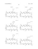 CYCLOSPORIN A ANALOGS diagram and image