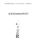 TEMPERATURE SHIFT FOR HIGH YIELD EXPRESSION OF POLYPEPTIDES IN YEAST AND     OTHER TRANSFORMED CELLS diagram and image