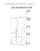 TEMPERATURE SHIFT FOR HIGH YIELD EXPRESSION OF POLYPEPTIDES IN YEAST AND     OTHER TRANSFORMED CELLS diagram and image