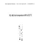 TEMPERATURE SHIFT FOR HIGH YIELD EXPRESSION OF POLYPEPTIDES IN YEAST AND     OTHER TRANSFORMED CELLS diagram and image