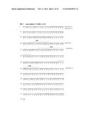 ANTIBODIES SPECIFIC TO CADHERIN-17 diagram and image